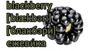 How to Pronounce blackberry in English