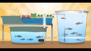 СОДЕРЖАНИЕ РЫБЫ В БАССЕЙНАХ, ПРУДАХ И ИСКУССТВЕННЫХ ВОДОЕМАХ