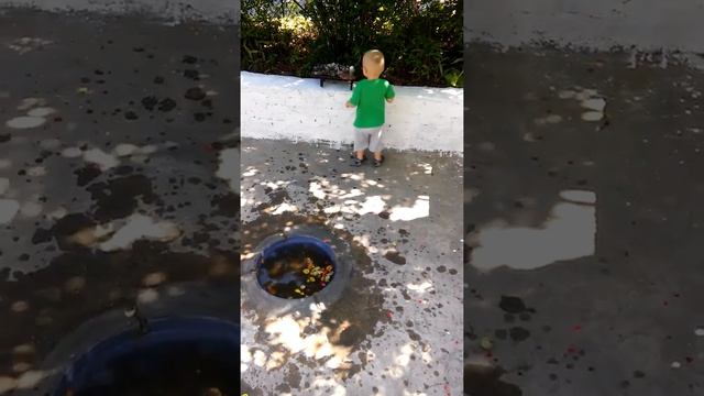 Утро на даче. Время разбрасывать камни)) смотреть онлайн