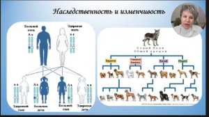 ОГЭ Биология. Свойства живых организмов