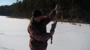 5 Часть Охота и Рыбалка Восточная Сибирь Иркутская обл