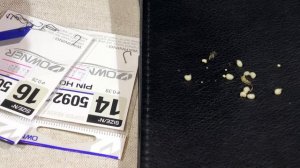 Как насадить на крючок личинку репейной моли. Зимняя рыбалка.