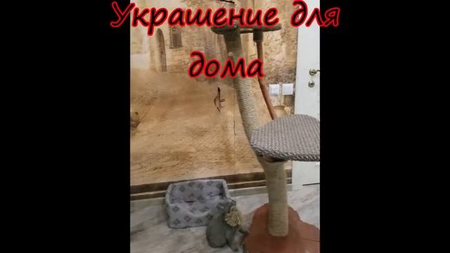 Когтеточка для кошки смотреть онлайн