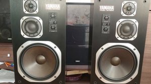 Yamaha NS-500M