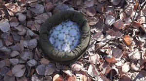 Про паколь (пакол, паккуль, пакколе, читрали топи, кховар, каузия, pakol, pawkul, khapol, khowar)