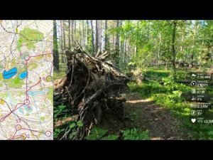 Спортивное ориентирование (headcam orienteering) - Белые Ночи 2022, Петяярви, день 1 - 24.06.22