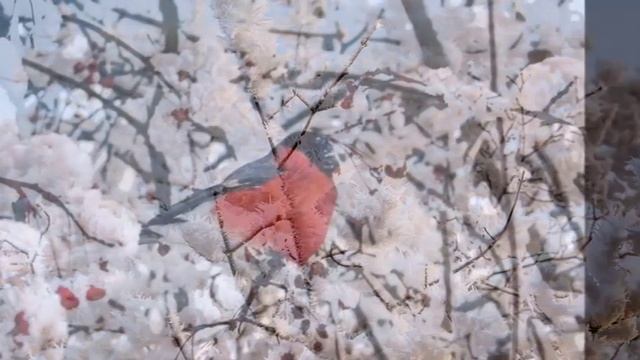 Падают снежинки смотреть онлайн