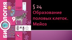 Параграф 24. Образование половых клеток. Мейоз