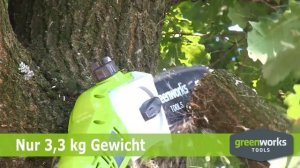 greenworks hochentaster 22 08 cut