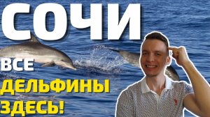 ДОФИГА ДЕЛЬФИНОВ В СОЧИ! 2 лучших места где вы 100% посмотрите на дельфинов! Адлер, Сириус 2022