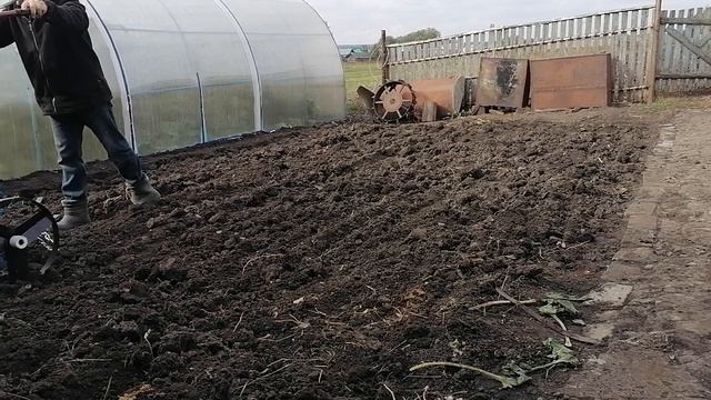 Сеялка "Пахарь" в деле для мотоблока. #мотоблок #сеялка