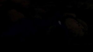 09 Муравей и муравьед / The Ant and the Aardvark — Scratch A Tiger (1970)