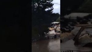 Село Мельничное  Приморского края.