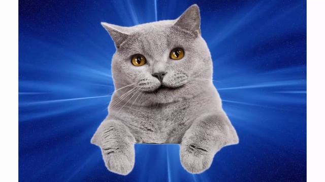 Вредный совет Григория Остера. Как выгнать из квартиры разных мух и комаров смотреть онлайн