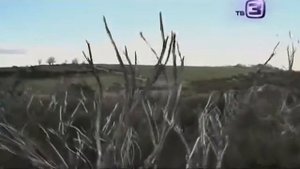 Нечисть | Русалки (2015)