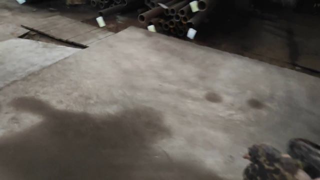 Птенец голубя