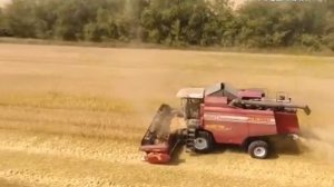 В Самарской области завершена уборка зерновых