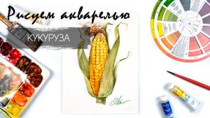 Рисуем кукурузу. Уроки рисования. Овощи акварелью