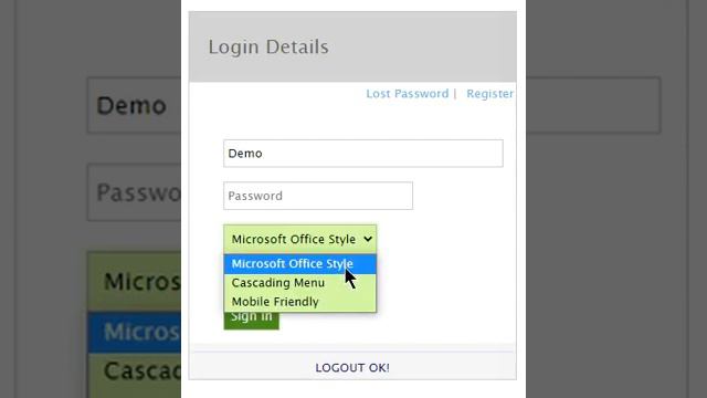 Dynamic ERP Login Interfaces