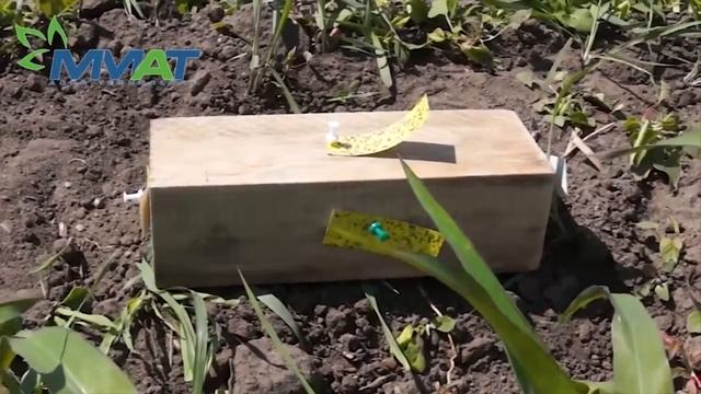 EZK Распылитель эжекторный компактный смотреть онлайн