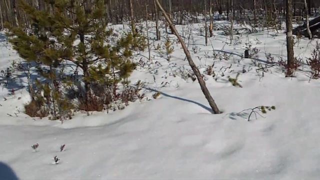 озеро Волково .часть 2 смотреть онлайн