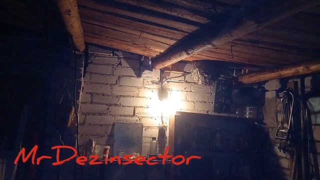 Осы в гараже ,как уничтожить гнездо. смотреть онлайн