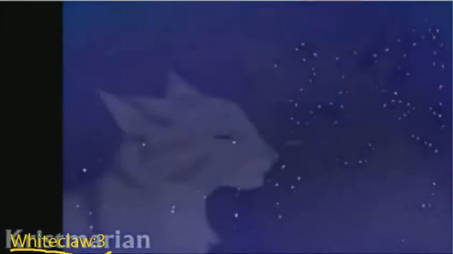 Коты Воители:Серебрянка и Крутобок/Cats Warriors:Silverstream and Graystripe/ЦОК ЦОК:3 смотреть онлайн