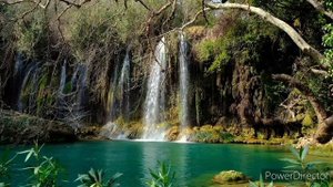 К КАКИМ БОЛЕЗНЯМ ПРЕДРАСПОЛОЖЕНЫ РАЗНЫЕ ЗНАКИ ЗОДИАКА.