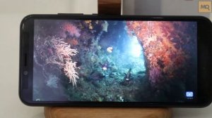 BQ 5530L Intense обзор смартфона