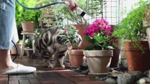 Интересный образ жизни