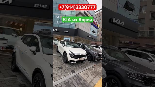 ‼️Цены на новые KIA у официального дилера в Корее на 16.07.23г,Kia Sportage ,Sorento-Отправка в РФ‼