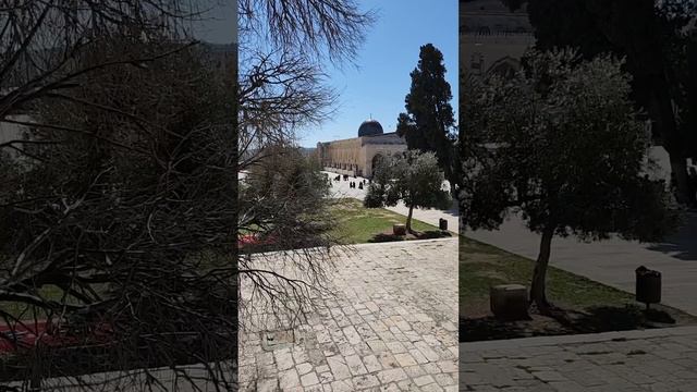 Al-Aqsa's two sites: Dome of the Rock & Qibli Mosque смотреть онлайн