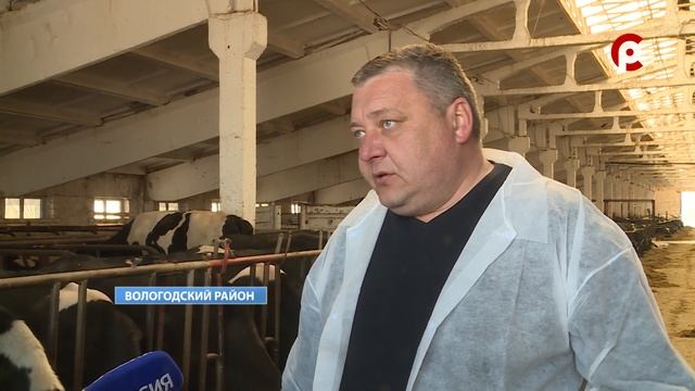 На племзаводе 