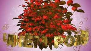 Шикарное 3D поздравление С ДНЁМ РОЖДЕНИЯ!  ОГРОМНЫЙ БУКЕТ КРАСНЫХ РОЗ