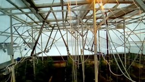 Зимнее отопление в теплице 2017