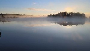 Заказник Толвоярви. Карелия.