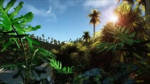 ЗВУКИ ДЖУНГЛЕЙ, jungle music