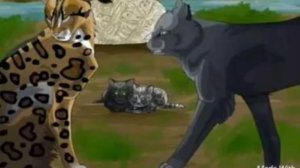 Топ 5 котов-воителей незаслуженно попавших в Звездное племя