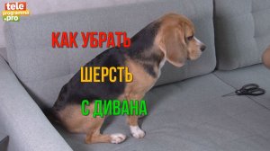 Как отчистить диван от шерсти без щетки