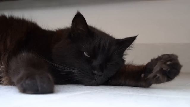 Разговорчивая попутчица смотреть онлайн