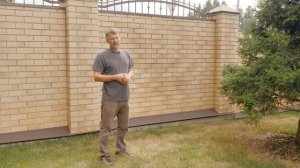 ПОЧЕМУ ЖЕЛТЕЕТ ГАЗОН? Что делать если газон пожелтел?