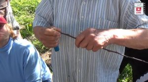 Знакомство с профессором Агеевым Борисом Николаевичем