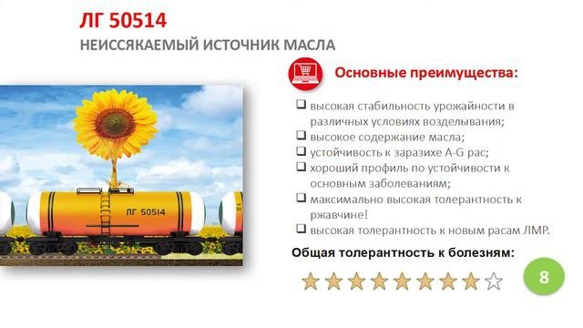 Обзор гибрида ЛГ 50514 / Гибрид подсолнечника