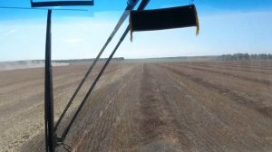 RSM 161. Уборка гречихи. Урожай 2020