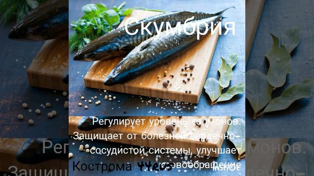 Польза рыбы, часть первая, жирная рыба!