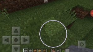 КАК НАЙТИ ДОМИК ВЕДЬМЫ В MINECRAFT ЗА МИНУТУ!!!