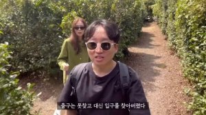 Unique jeju island travel course for couple EP.02 | Green tea maze, Buggy car, mackerel sashimi