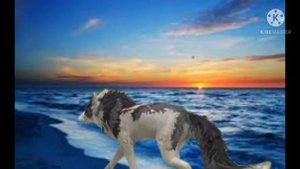 клип /Wildcraf/ танцуй когбудто рядом океан