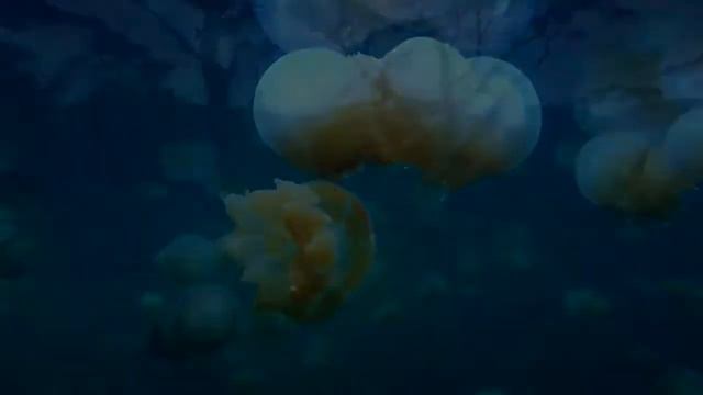 Зашёл в душ, а там она смотреть онлайн