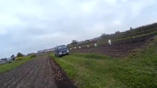 Копаю картошку.